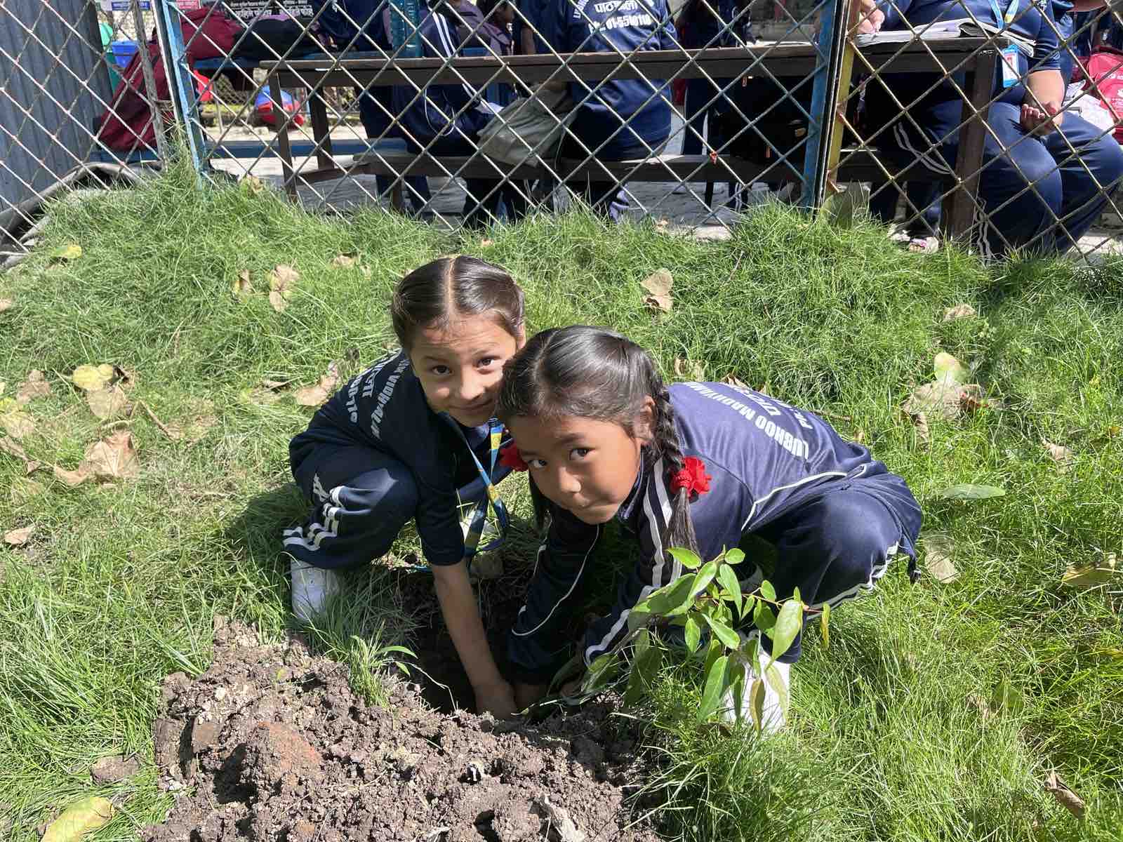 Tree Plantation Lubhu Secondary School, Lubhu, Lalitpur