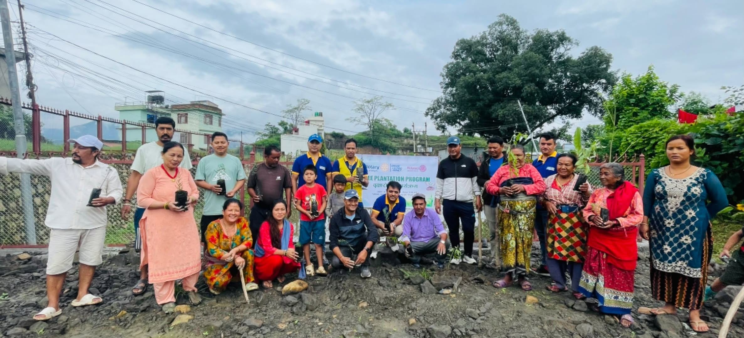 Tree Plantation